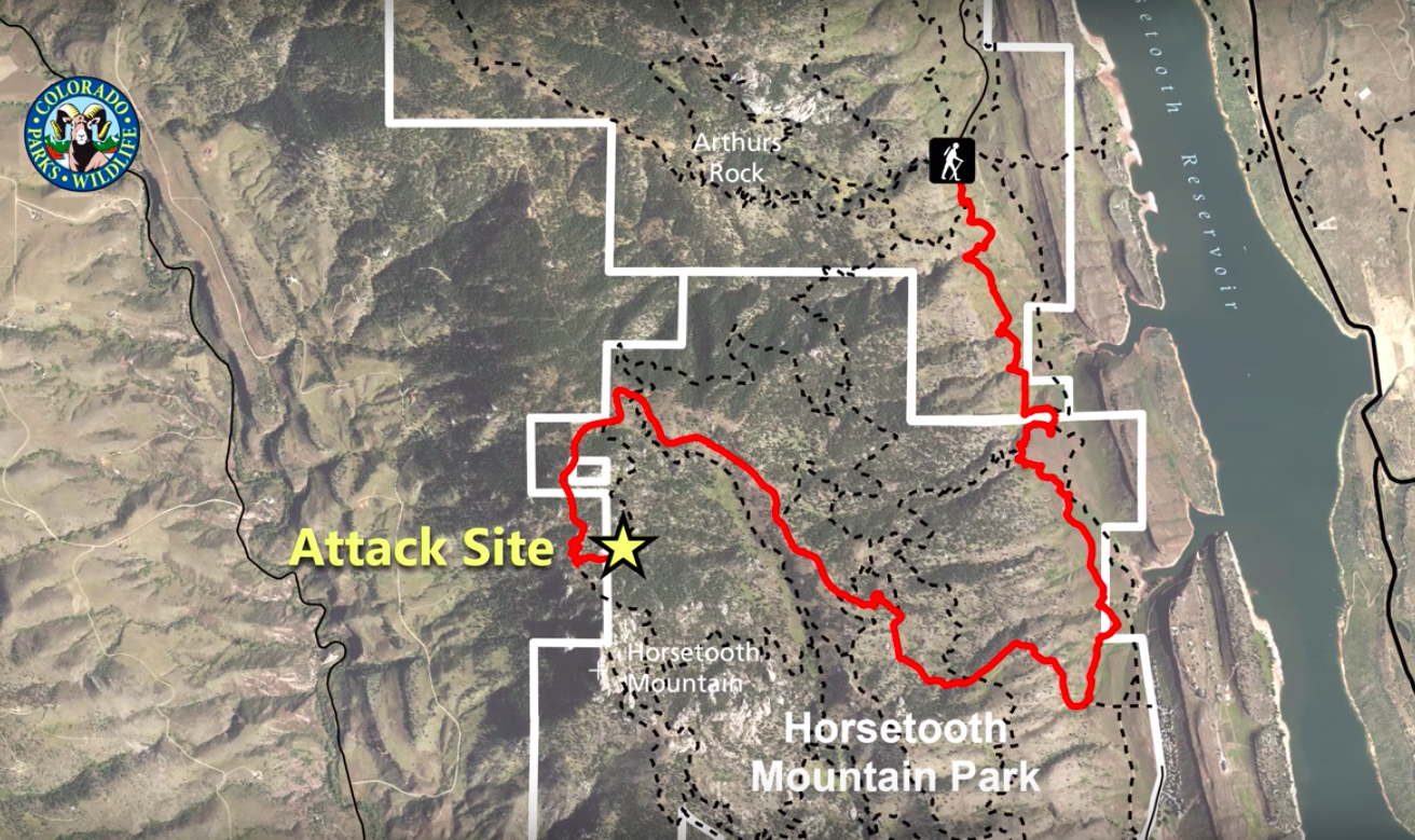 Travis Kauffman fought off a mountain lion while trail running in Colorado.