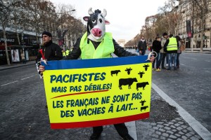 Gilet jaune manifestant