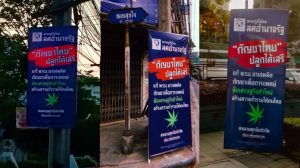 Bhum Jai Thai Weed Signs