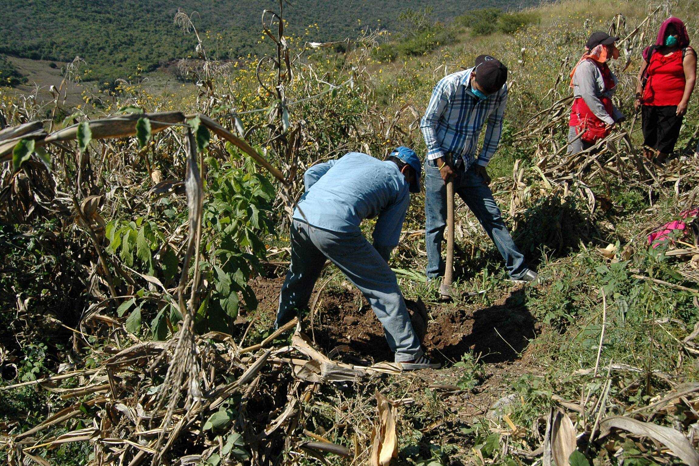 1550836342408-Iguala_4_Xinhua