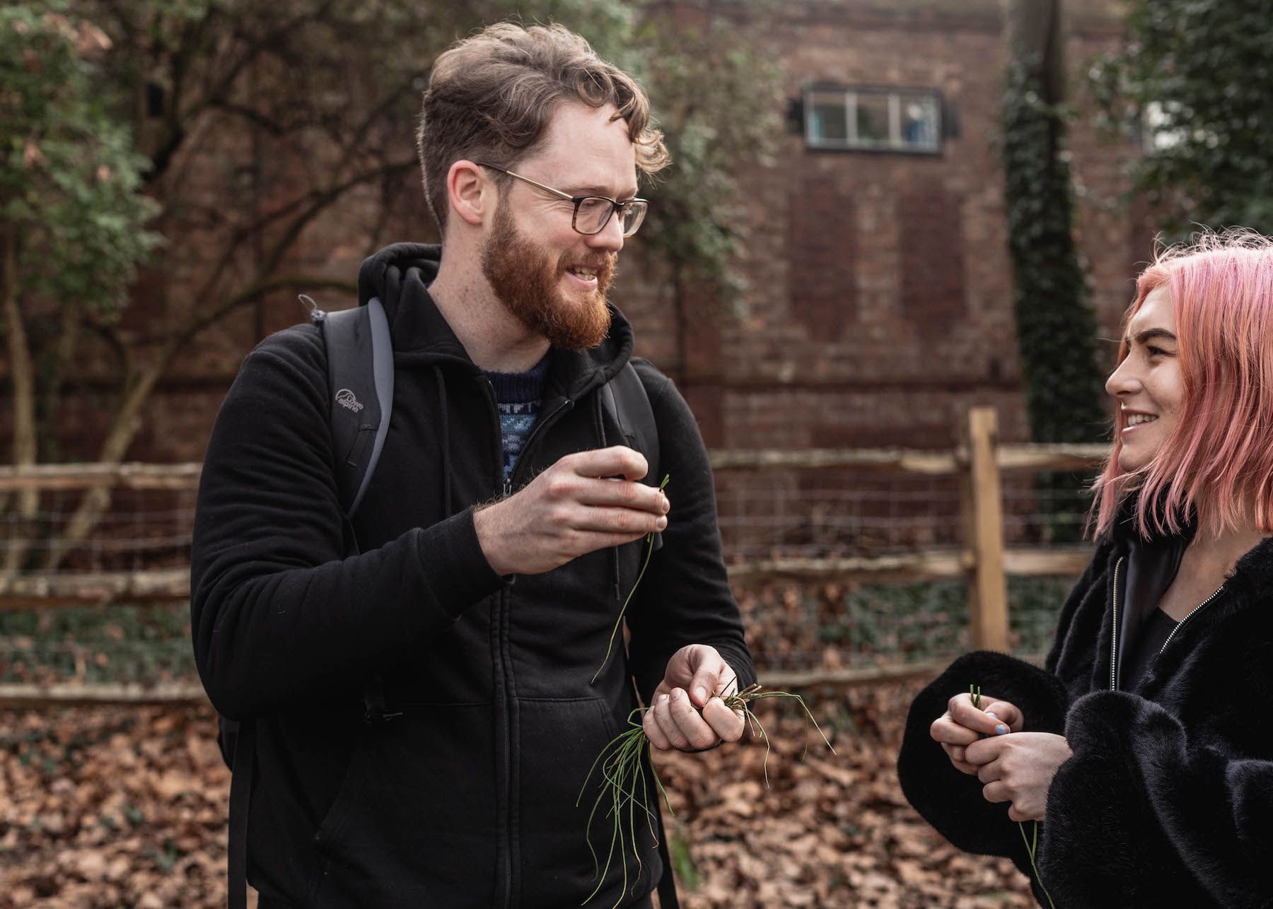 foraging hampstead heath