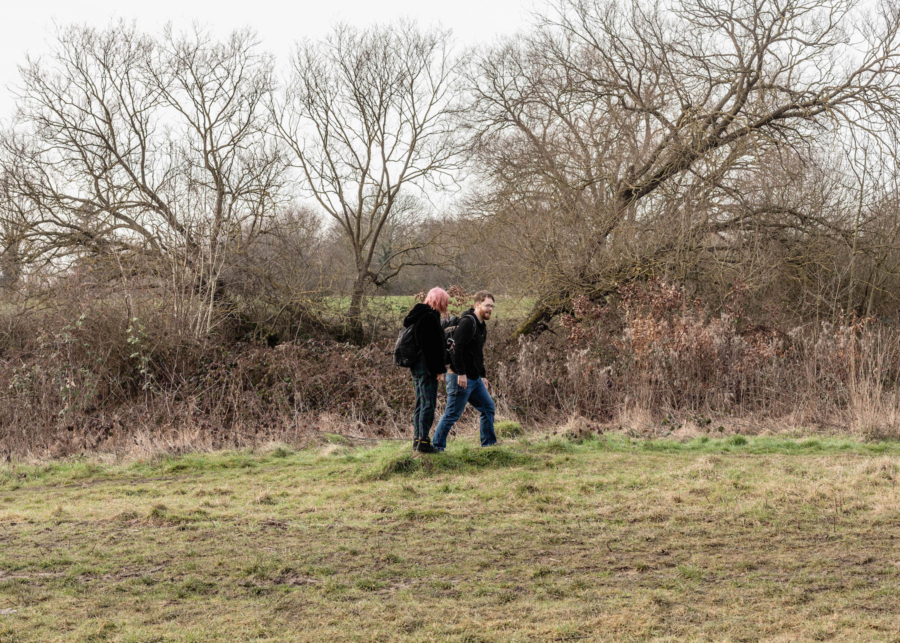 food foraging hampstead heath