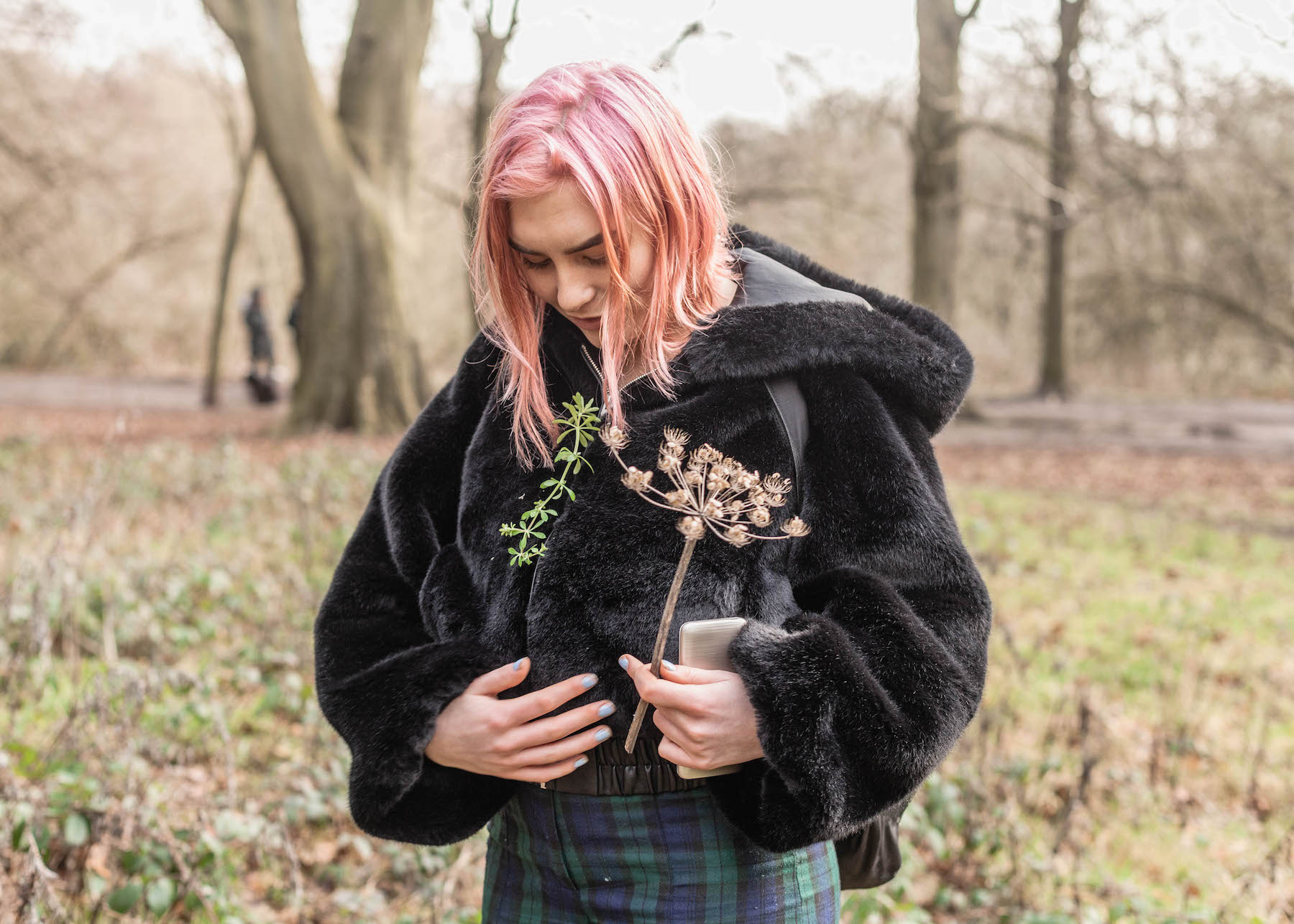 foraging hampstead heath