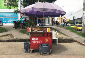 Foto empanadas