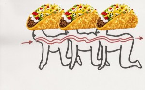 chalupa centipede