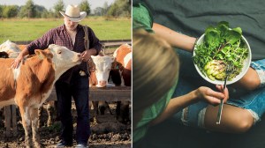 What I, a Vegan, Learned From Debating Animal Farmers Online