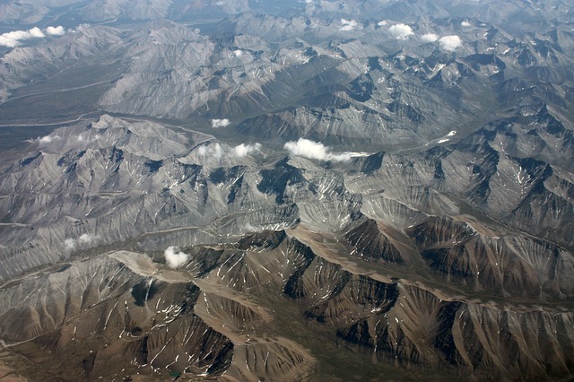 Cambrian Fossils Belonging to Ancient Worms Found in Mackenzie Mountains