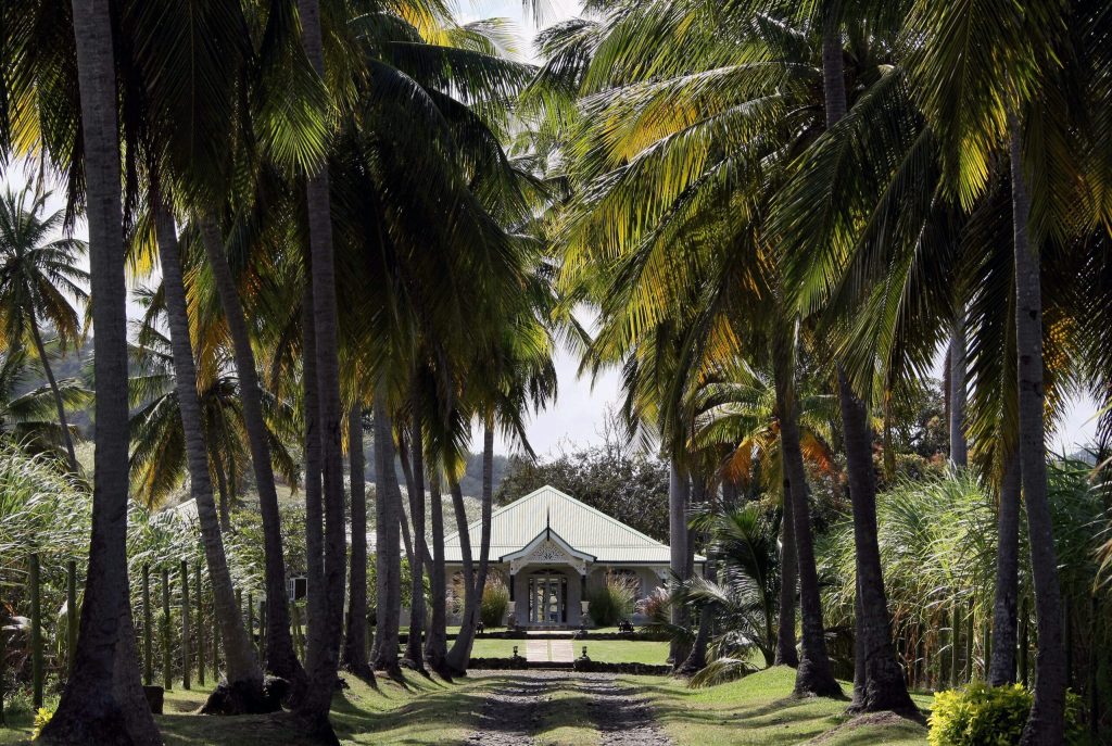 Ces descendants d’esclaves antillais qui cherchent à connaître leurs ancêtres