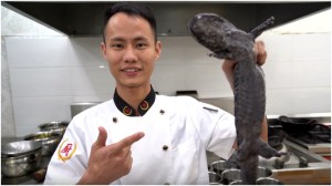 Chef holding live salamander