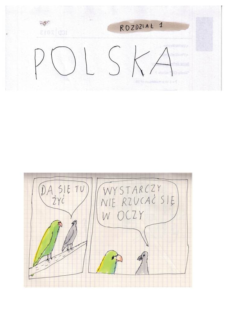 Złota Kolekcja, Janek Koza