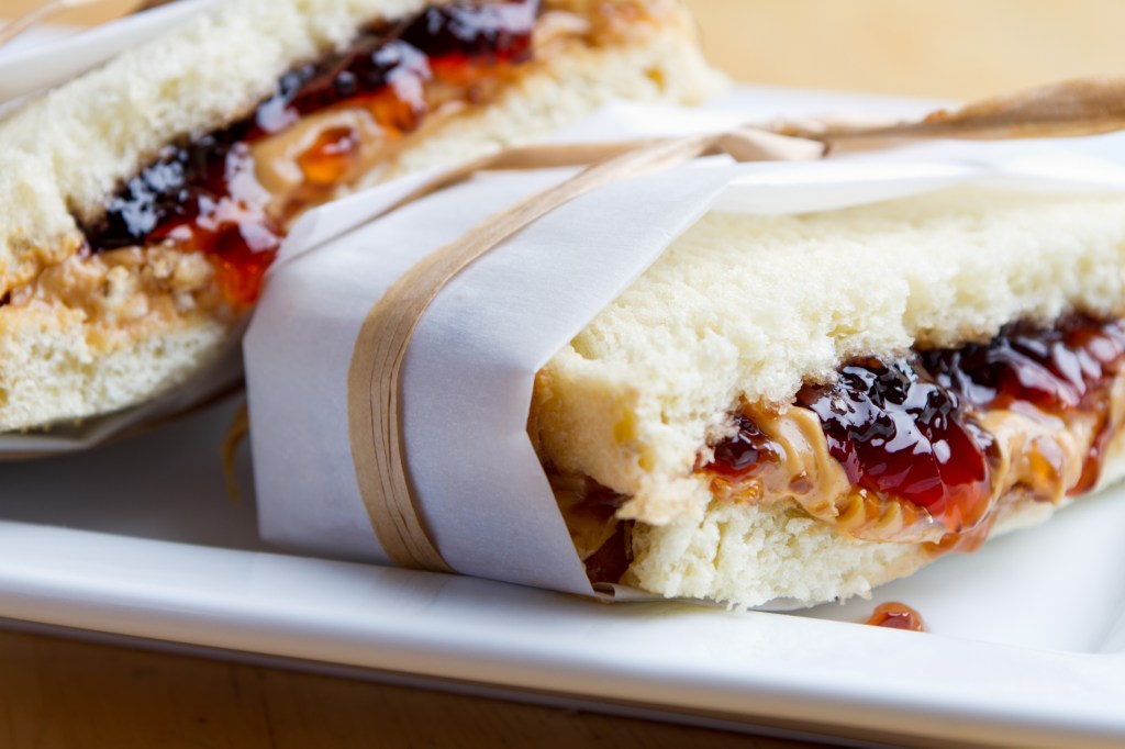 peanut butter jelly sandwich