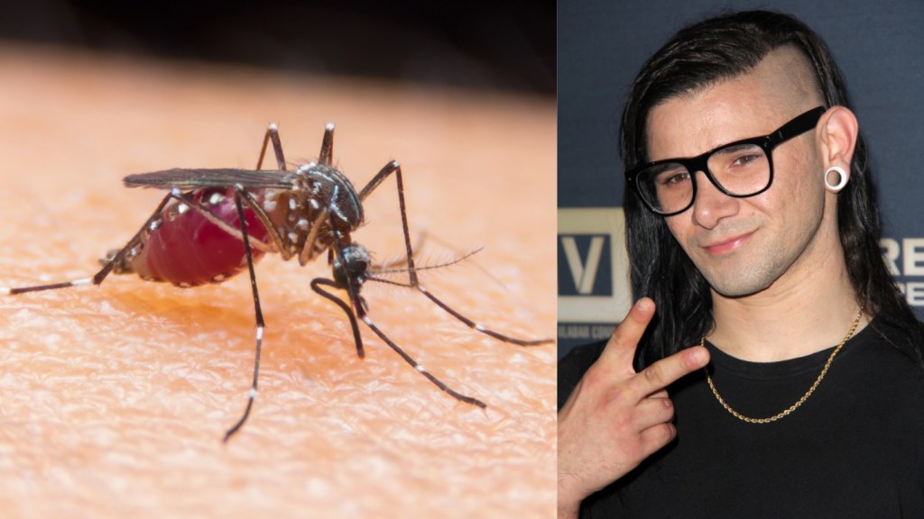 un tantar si Skrillex