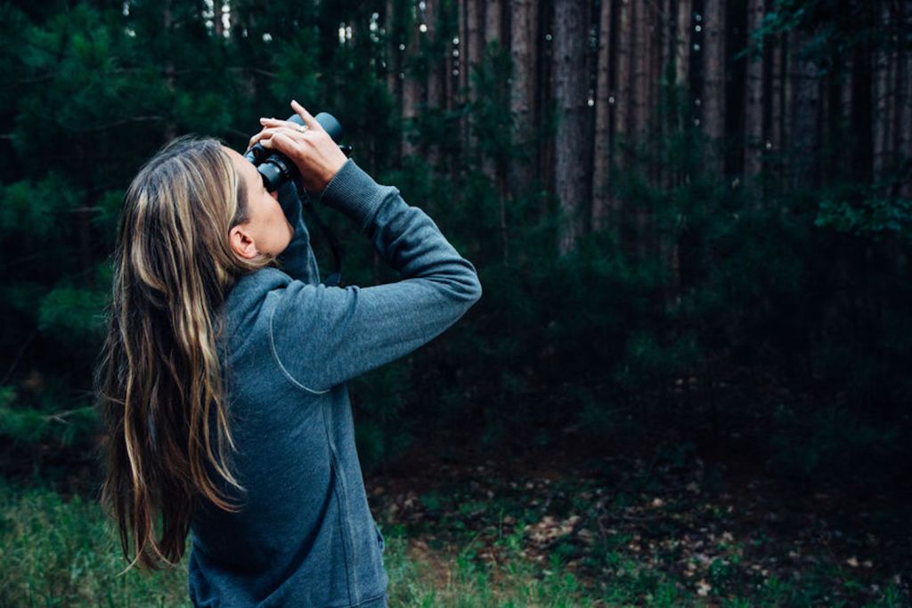 A woman looks at birds through binoculars