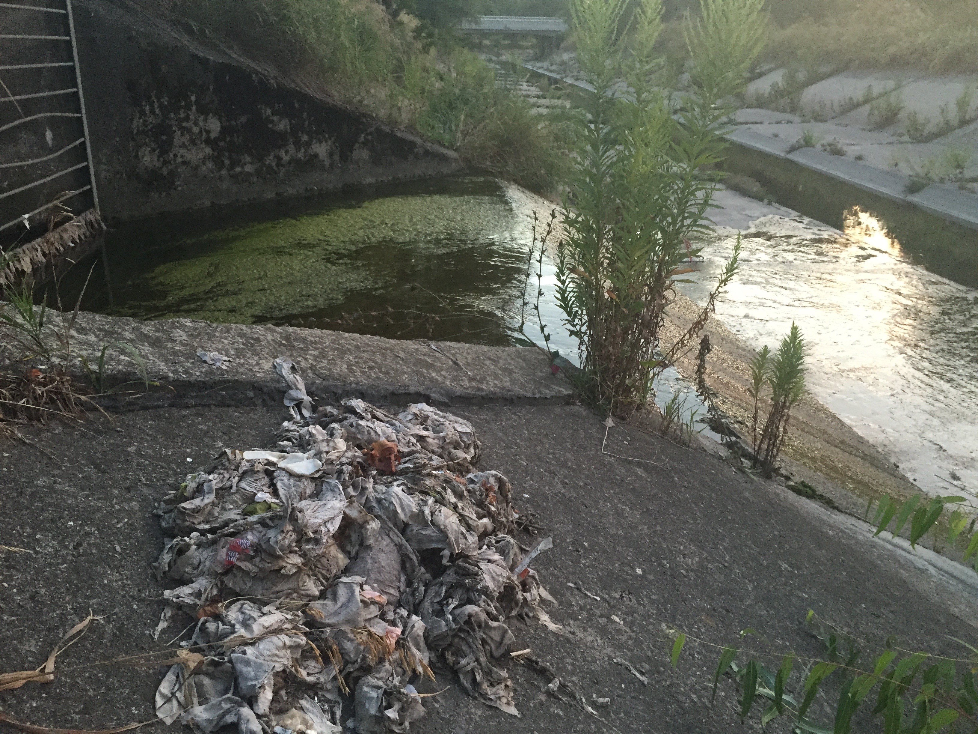 1555350250203-Ryerson-University-Sewer-overflow-with-wipes