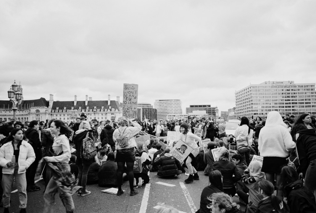 climate change protest