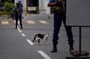 Sri Lankan soldiers open fire on suspects as Easter bombing raids continue