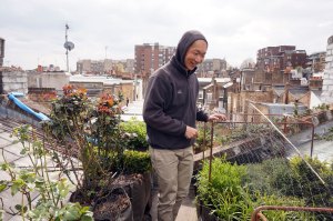 Ping the Herb Guy and his rooftop garden in Notting Hill, London