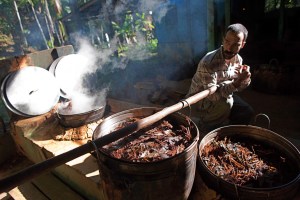 Canada grants religions ability to import ayahuasca