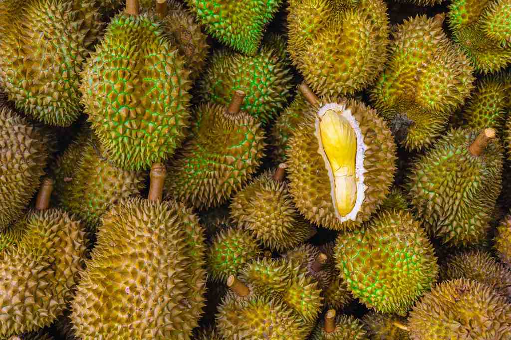 Seluruh Pengunjung Perpus di Australia Dievakuasi, Cuma Gara-Gara Bau Durian