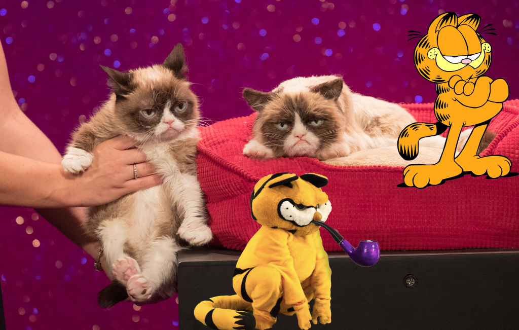 Grumpy Cat next to a wax figure of Grumpy Cat, an image of Lasagna cat, and the traditional Garfield cartoon.