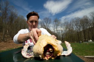 Chef Elise Kornack and farmer Kyle Jaster show us the less pretty side of prepping and cooking a dozen ducks.