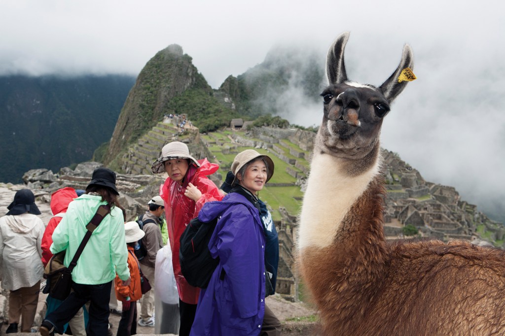 Imagini ridicole din arhiva faimosului Martin Parr