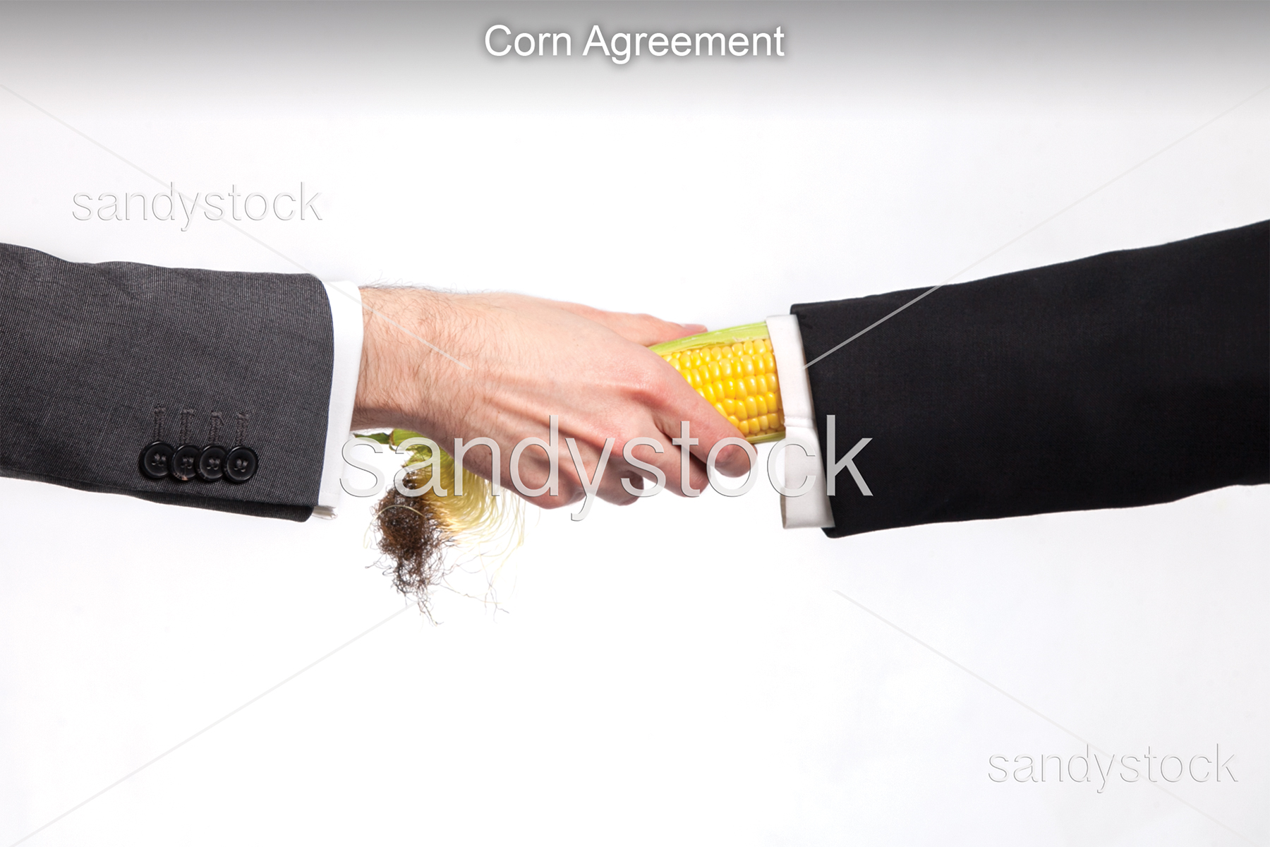 1557100782175-CornAgreement_300