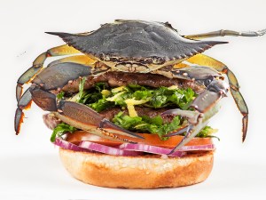 a crab photoshopped on top of a double cheeseburger