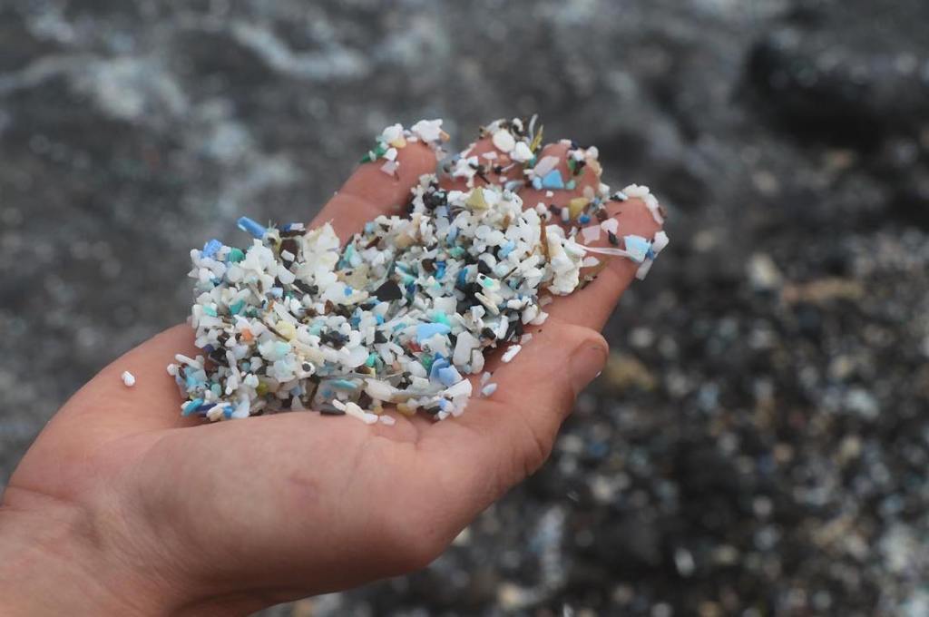 Microplastic in the waters off Kamilo Beach, Hawaii