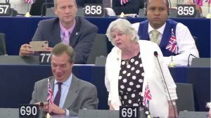 Nigel Farage and Anne Widdecombe EU Parliament