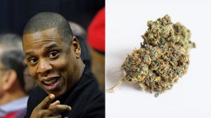 Jay-Z Cavila cannabis