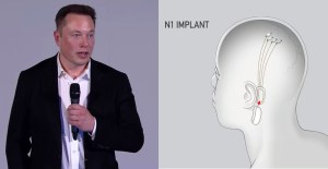 elon musk neuralink