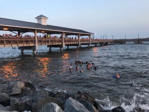 Dozens of Pilot Whales Strand Themselves Off Georgia's St. Simons Island