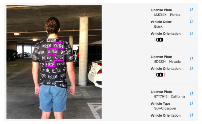 An example of adversarial fashion mimicking license plates