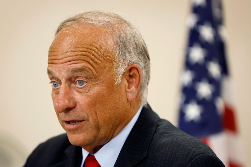 Rep. Steve King, R-Iowa, speaks during a town hall meeting, Tuesday, Aug. 13, 2019, in Boone, Iowa. (AP Photo/Charlie Neibergall)​