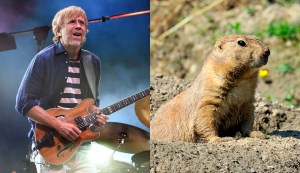 prairie-plague-phish