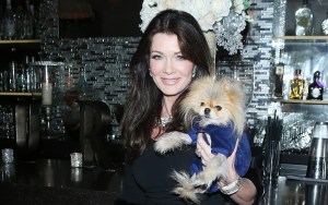 lisa vanderpump sur