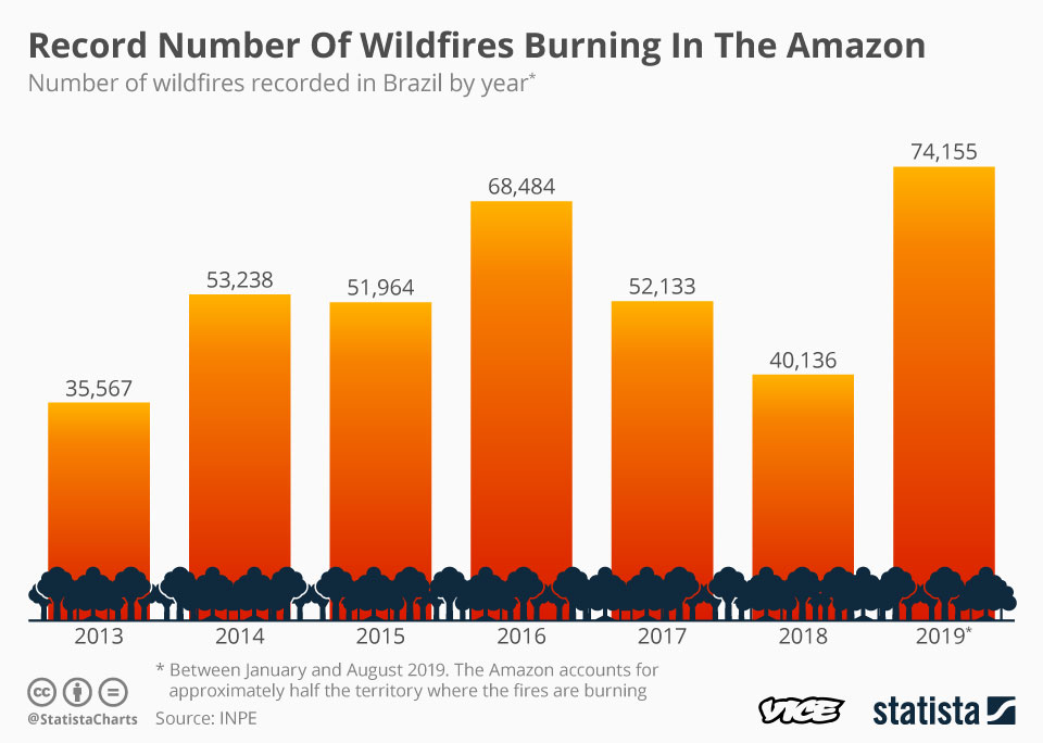 1566554222991-20190823_Amazon_Wildfires_VICE