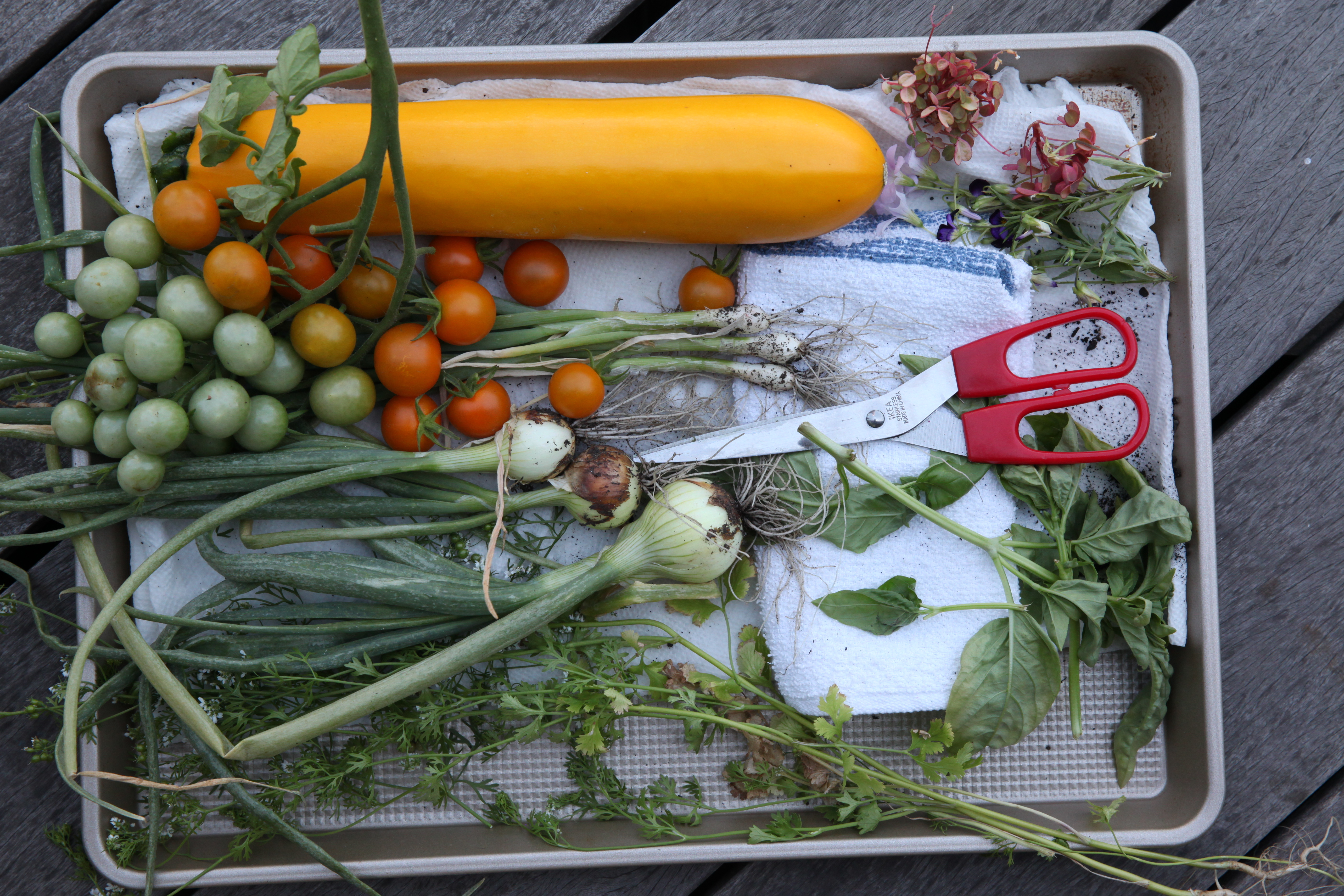 1566941179428-chef-sang-yoon-vegetables-munchies-test-kitchen-garden