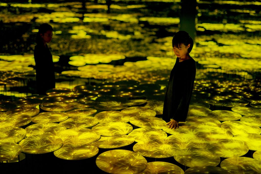 teamLab natura tecnologia