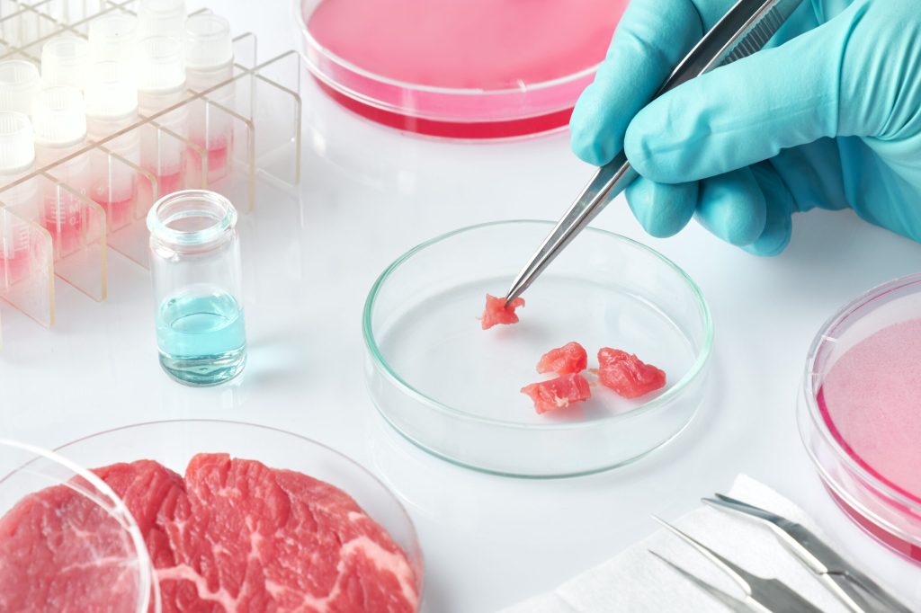 En 2040 el 60% de la carne que comas saldrá de un laboratorio