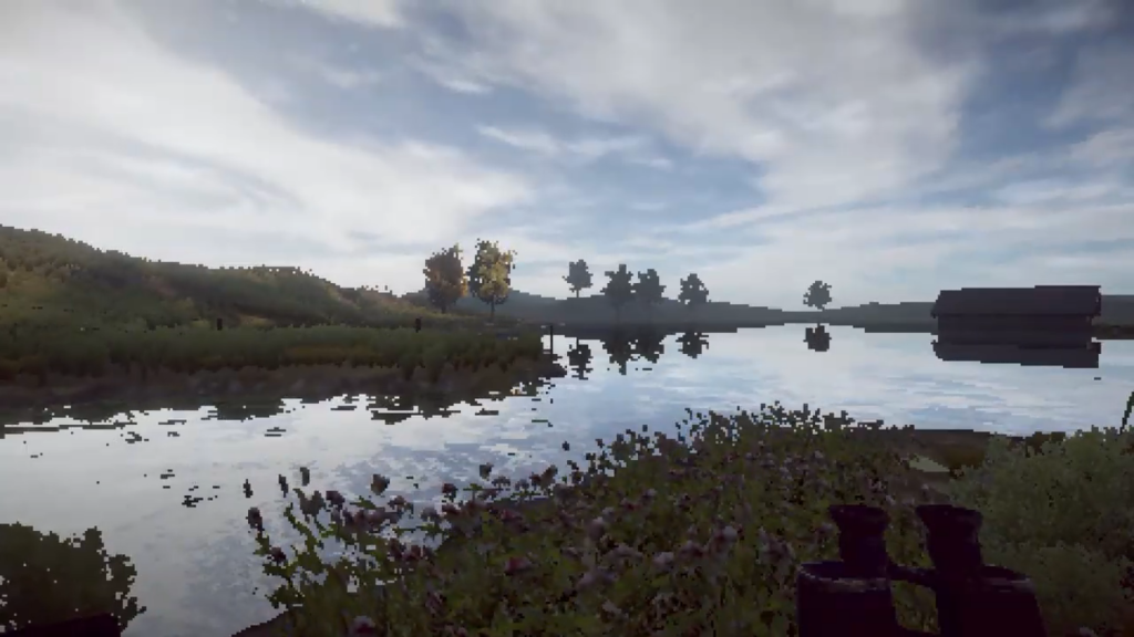 Birdspotting screenshot from the trailer shows heavily pixelated fens.