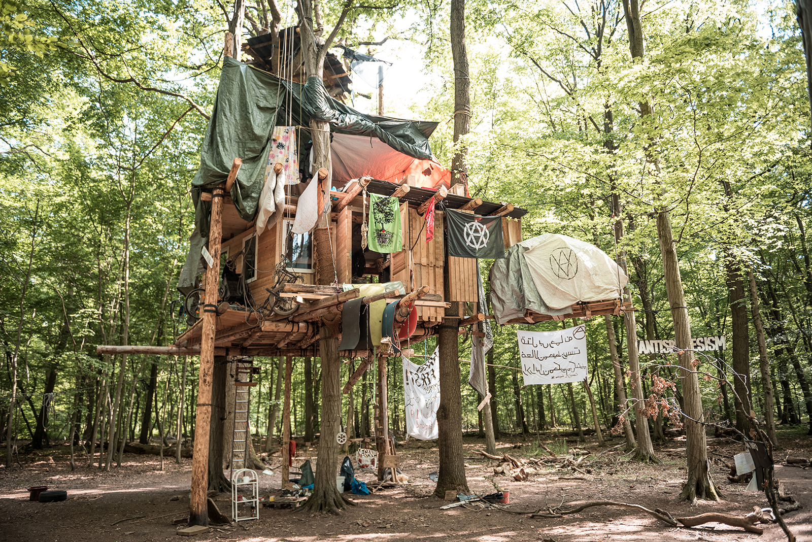 Hambacher Forst Baumhaus 2