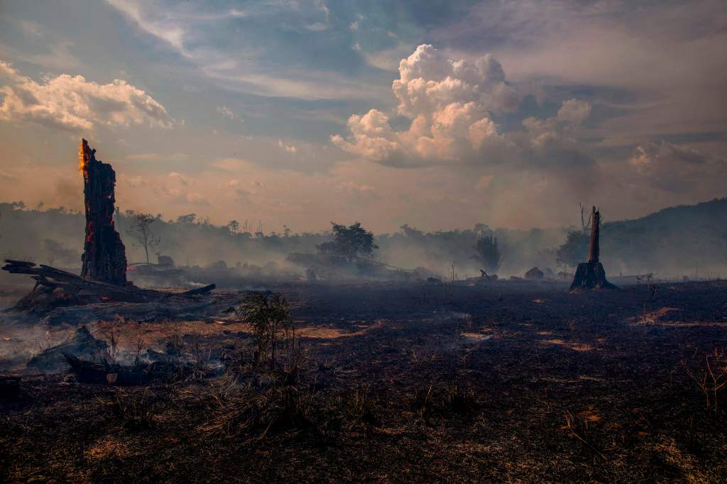 Na een bosbrand in Altamira, Brazilië