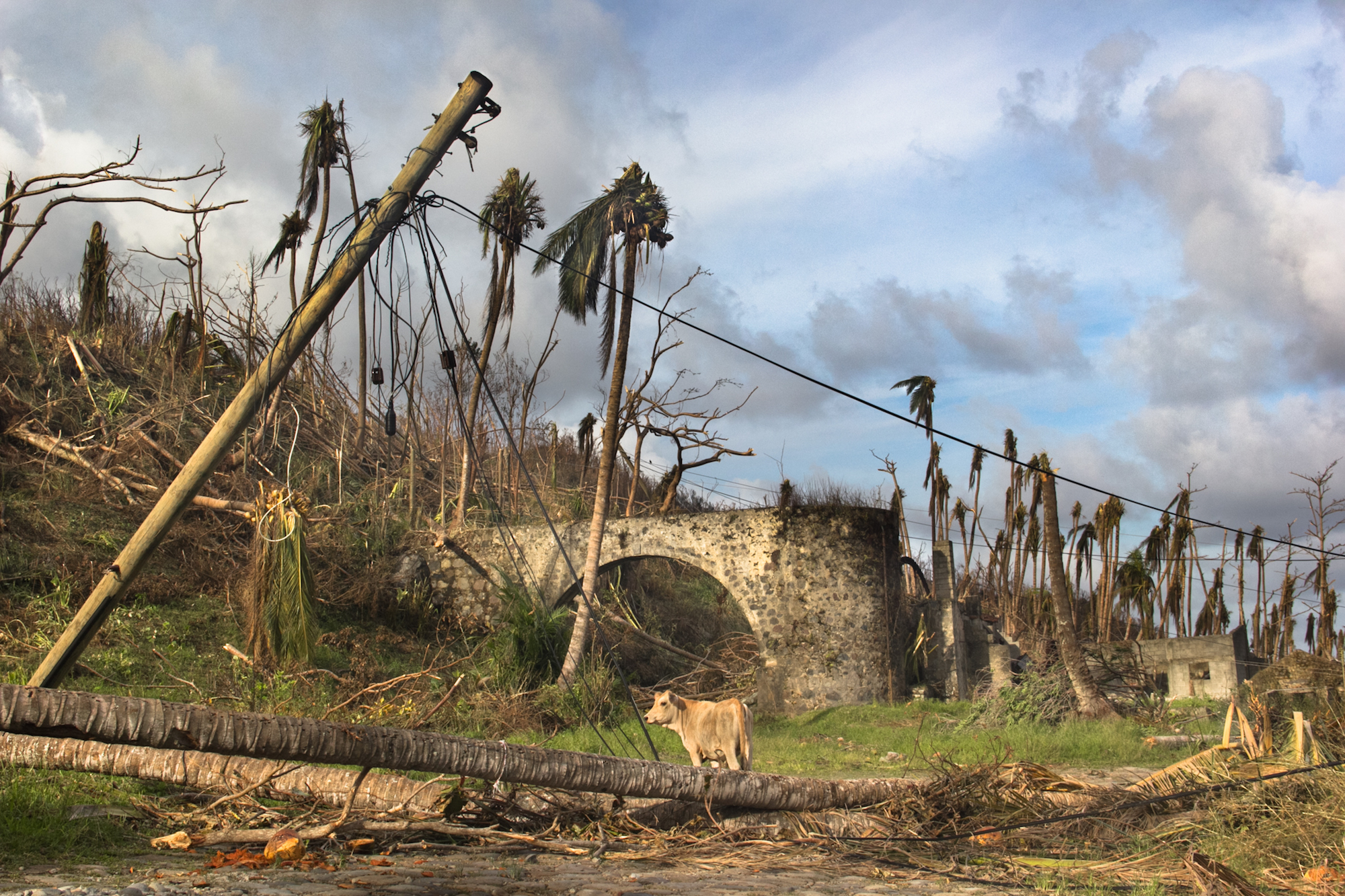 After Hurricane Maria