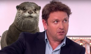 James Martin Otter Tweet