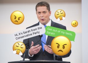 scheer-texts-square