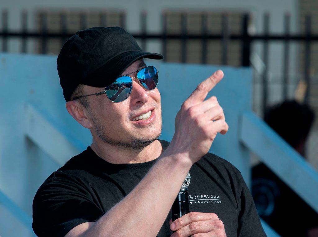 elon musk pedo