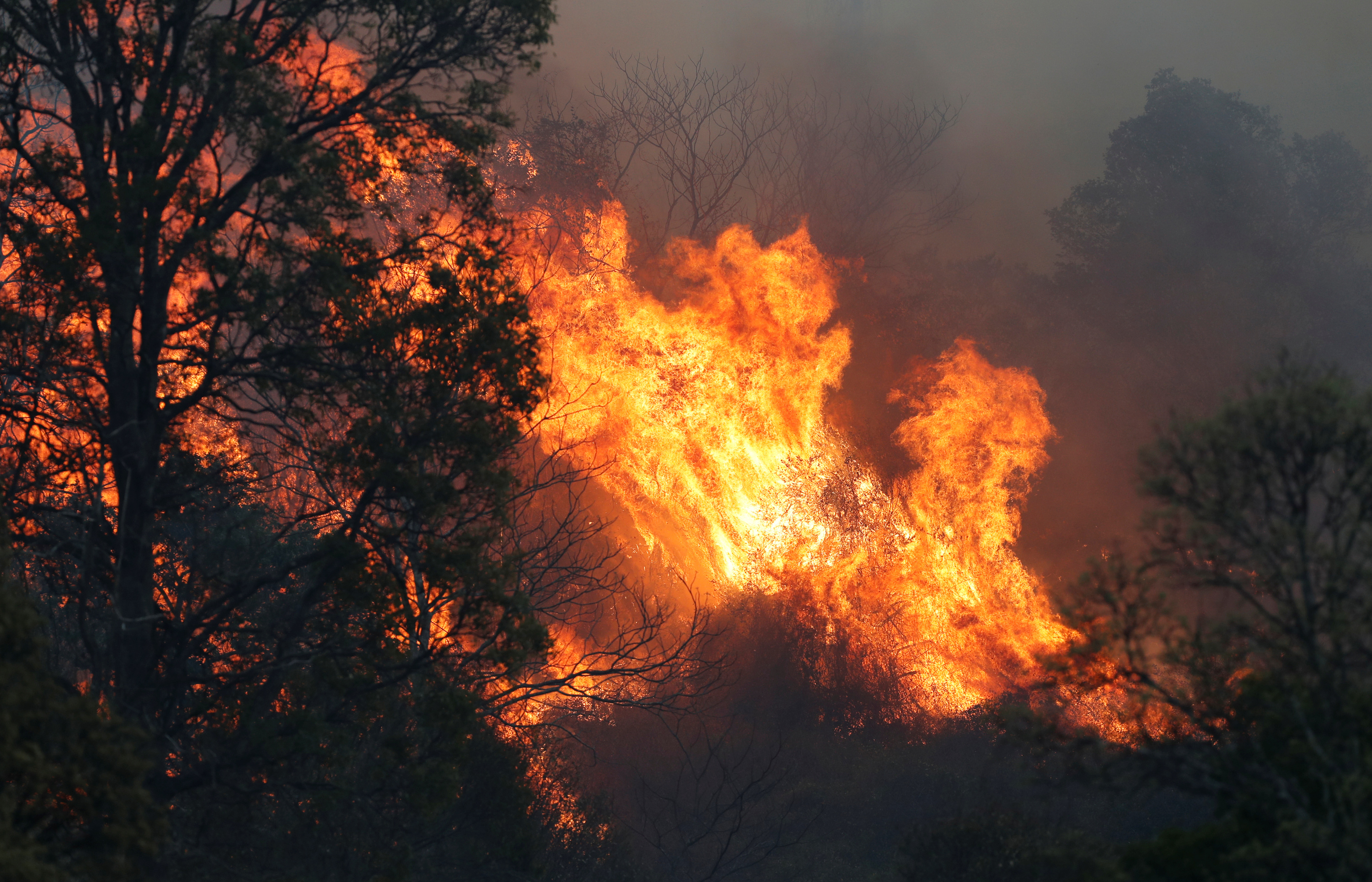 Bushfire in Queensland