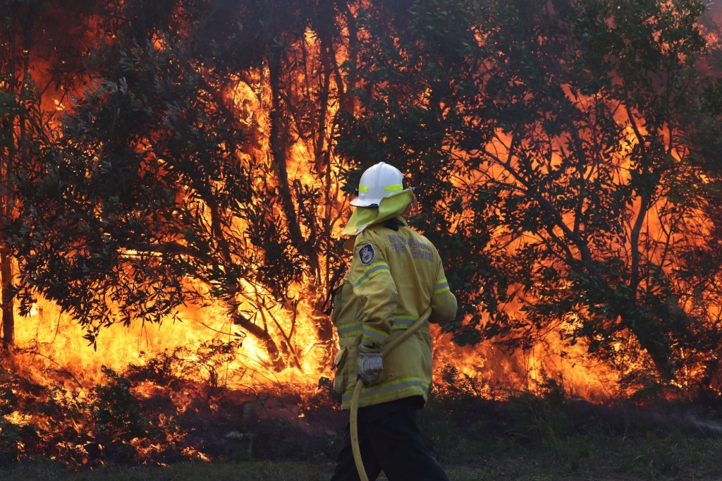 brandweer blust brandende bomen